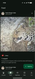 Bushwak community feed with wildlife photos and sightings