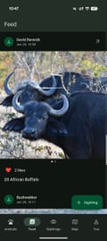 Bushwak social feed screen with another wildlife sighting