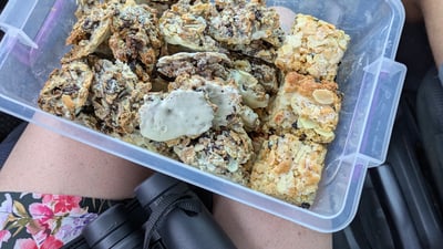 Florentines breakfast in the bush