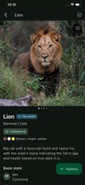 Bushwak lion facts screen with educational species content