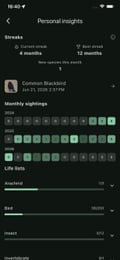 Bushwak personal insights screen with points, streak, and species logged