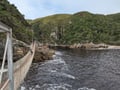 Suspension bridge at Garden Route National Park