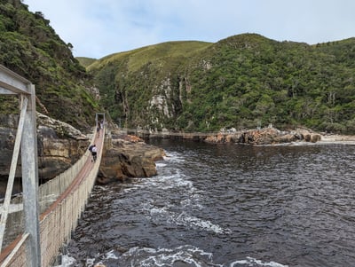 Suspension bridge at Garden Route National Park