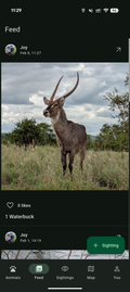Bushwak feed screen showing a waterbuck sighting